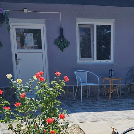 The Purple House-Villa In บูคาเรสต์ ภายนอก รูปภาพ