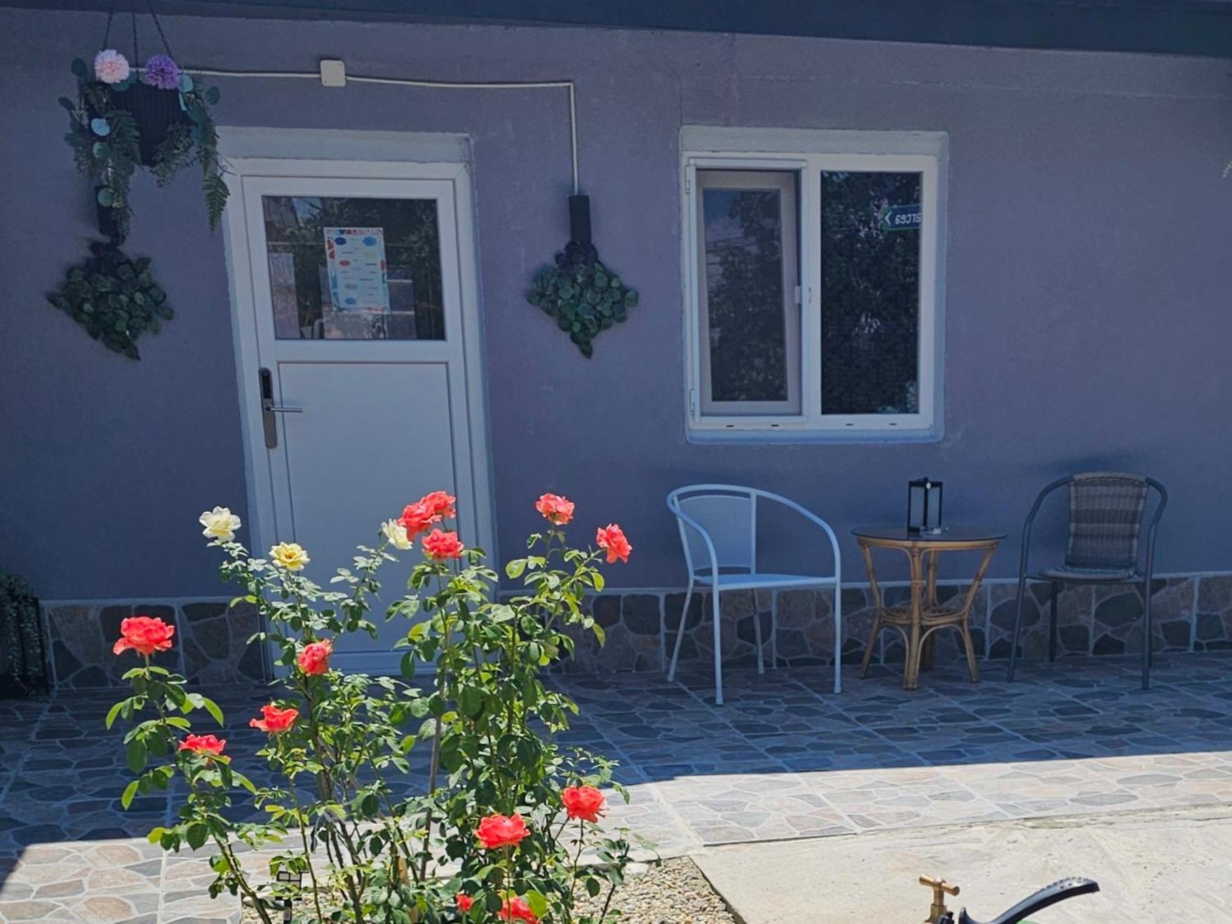 The Purple House-Villa In บูคาเรสต์ ภายนอก รูปภาพ